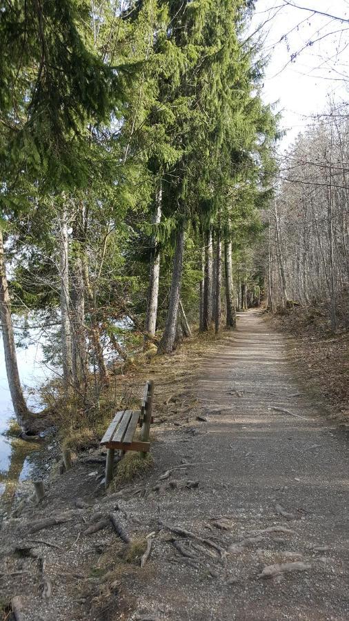 Fewo Friado Im Ferienpark Oa - Ohne Zusatzkosten Nach Anreise - Mit Hallenbad, W-Lan, Pkw-Garage, Kurtaxe Mit Allgaeu-Walser-Pass, Bett- Und Handtuch-Waesche Sowie End-Reinigung Missen-Wilhams Εξωτερικό φωτογραφία
